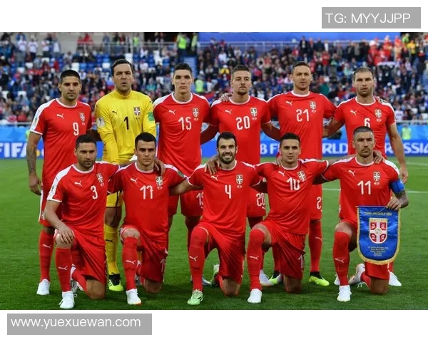 塞尔维亚足球球星的辉煌历程与他们在国际赛场上的荣耀时刻